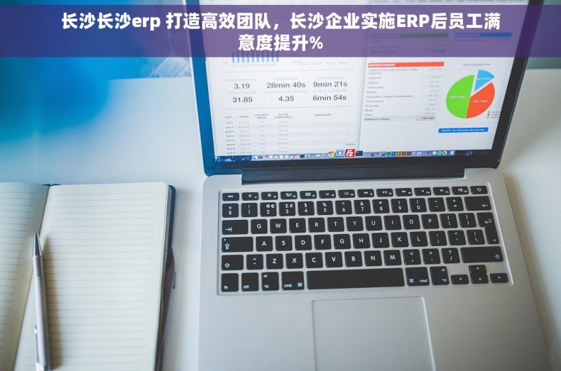 长沙长沙erp 打造高效团队，长沙企业实施ERP后员工满意度提升%