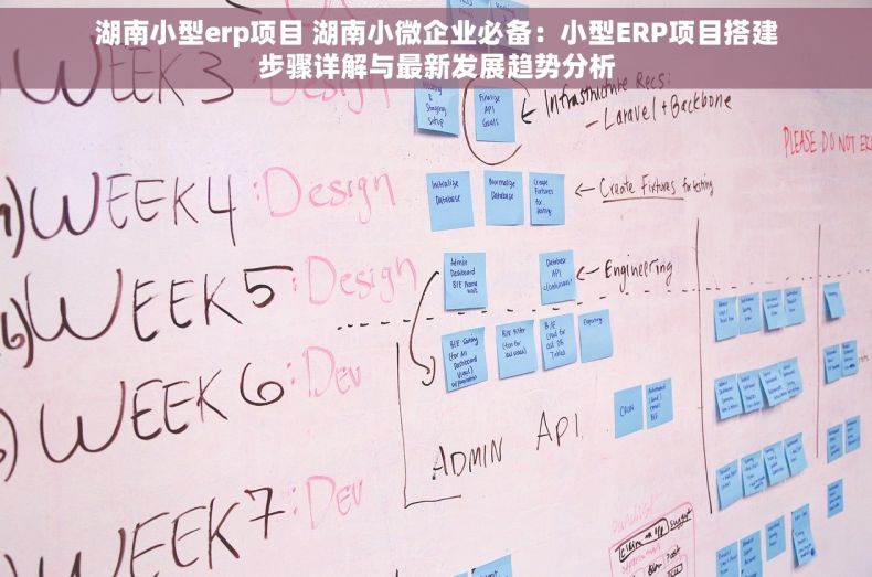 湖南小型erp项目 湖南小微企业必备：小型ERP项目搭建步骤详解与最新发展趋势分析