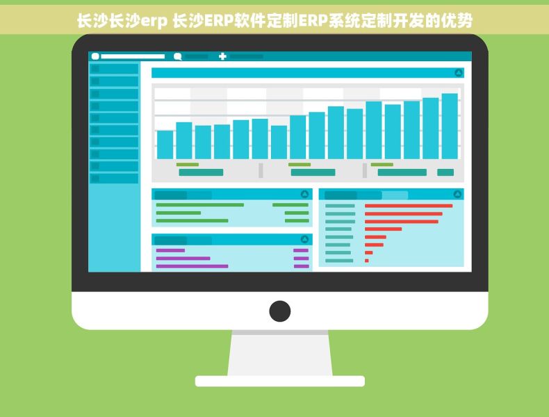 长沙长沙erp 长沙ERP软件定制ERP系统定制开发的优势