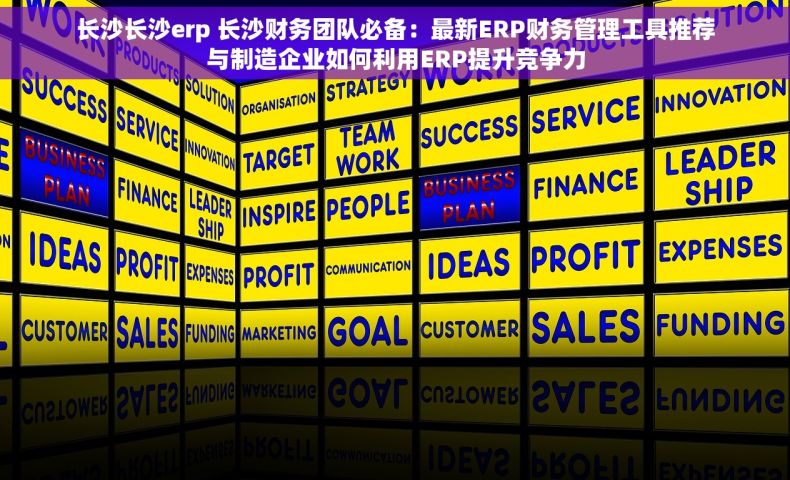 长沙长沙erp 长沙财务团队必备：最新ERP财务管理工具推荐与制造企业如何利用ERP提升竞争力