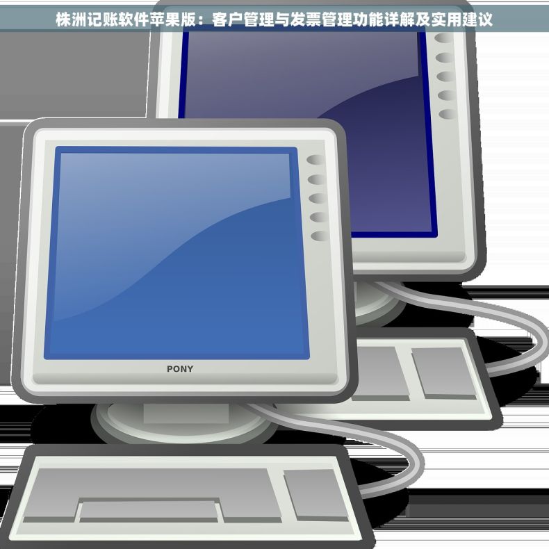 株洲记账软件苹果版：客户管理与发票管理功能详解及实用建议