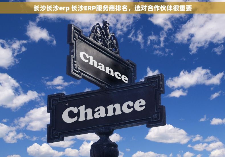 长沙长沙erp 长沙ERP服务商排名，选对合作伙伴很重要