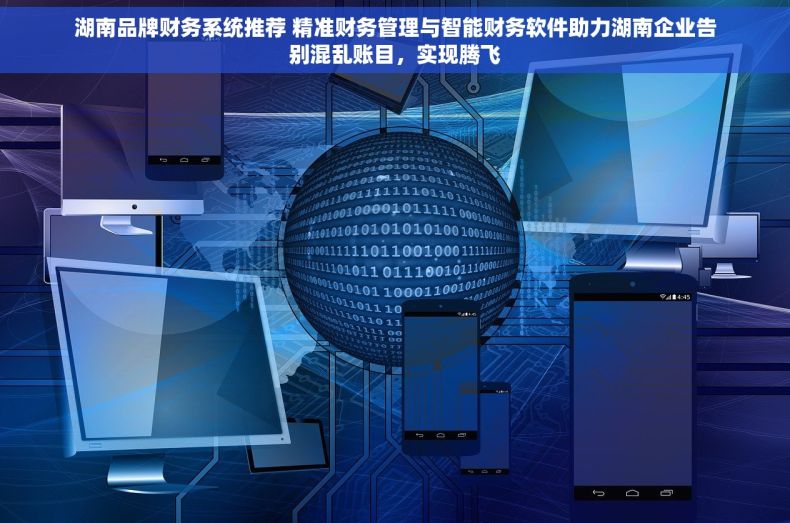 湖南品牌财务系统推荐 精准财务管理与智能财务软件助力湖南企业告别混乱账目，实现腾飞