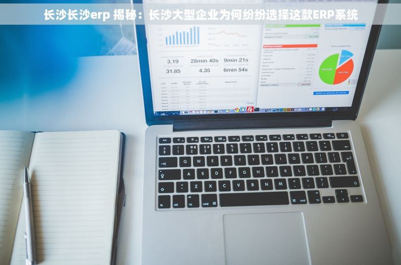长沙长沙erp 揭秘：长沙大型企业为何纷纷选择这款ERP系统