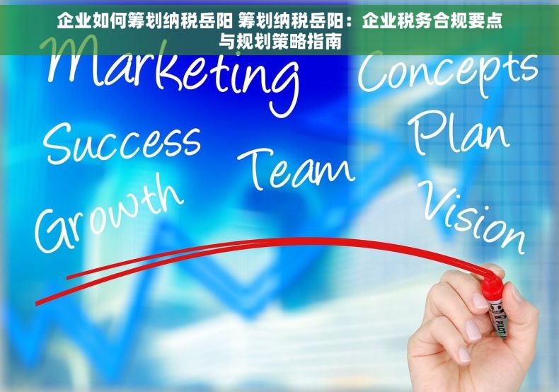 企业如何筹划纳税岳阳 筹划纳税岳阳：企业税务合规要点与规划策略指南