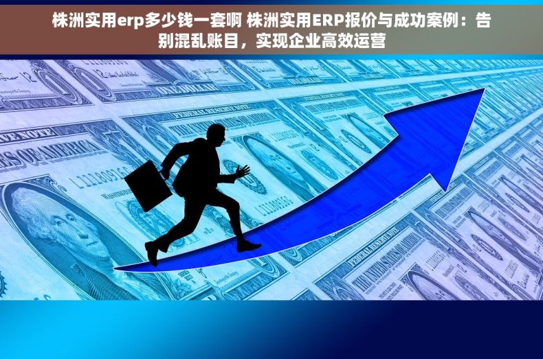 株洲实用erp多少钱一套啊 株洲实用ERP报价与成功案例：告别混乱账目，实现企业高效运营