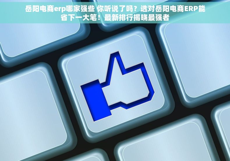 岳阳电商erp哪家强些 你听说了吗？选对岳阳电商ERP能省下一大笔！最新排行揭晓最强者