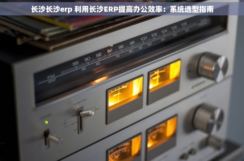 长沙长沙erp 利用长沙ERP提高办公效率：系统选型指南