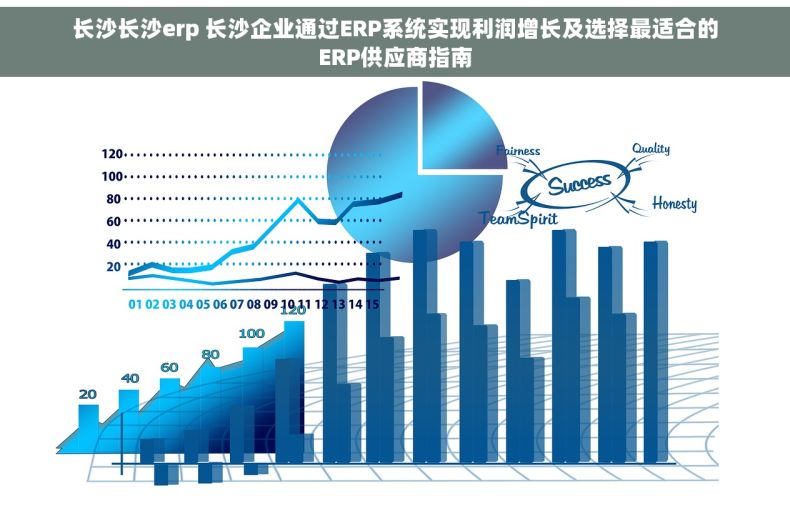 长沙长沙erp 长沙企业通过ERP系统实现利润增长及选择最适合的ERP供应商指南