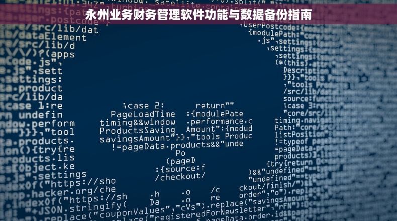 永州业务财务管理软件功能与数据备份指南
