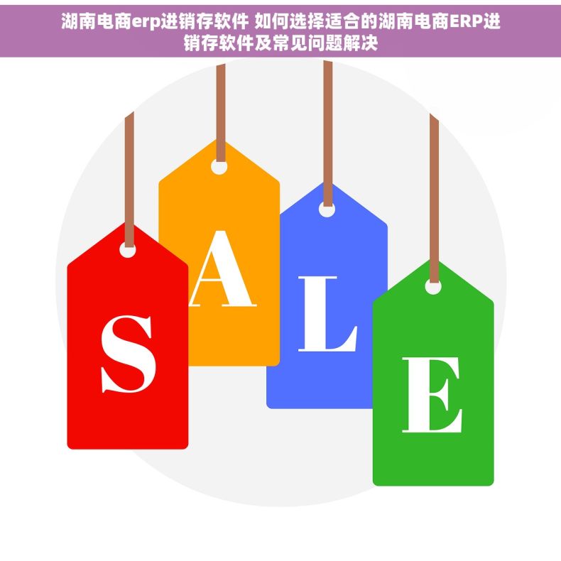 湖南电商erp进销存软件 如何选择适合的湖南电商ERP进销存软件及常见问题解决