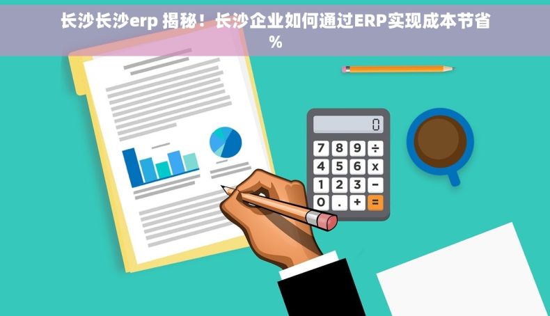 长沙长沙erp 揭秘！长沙企业如何通过ERP实现成本节省%