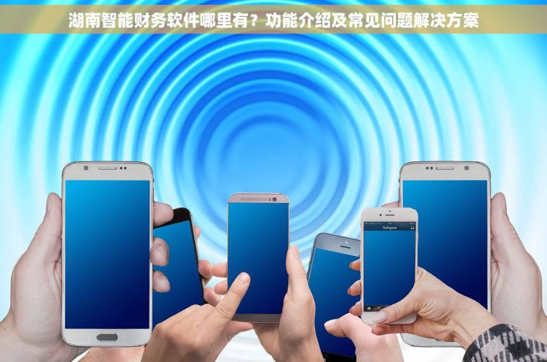 湖南智能财务软件哪里有？功能介绍及常见问题解决方案
