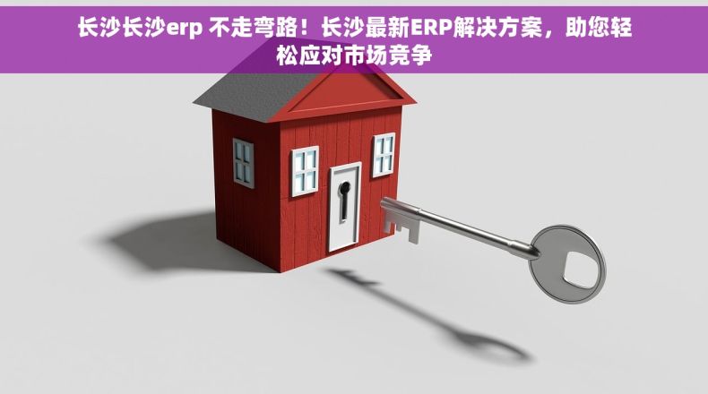 长沙长沙erp 不走弯路！长沙最新ERP解决方案，助您轻松应对市场竞争