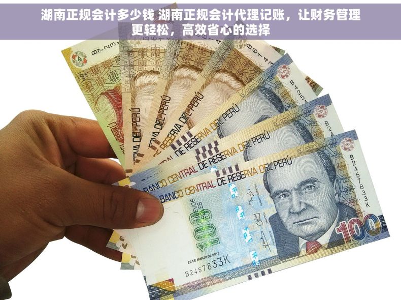湖南正规会计多少钱 湖南正规会计代理记账，让财务管理更轻松，高效省心的选择