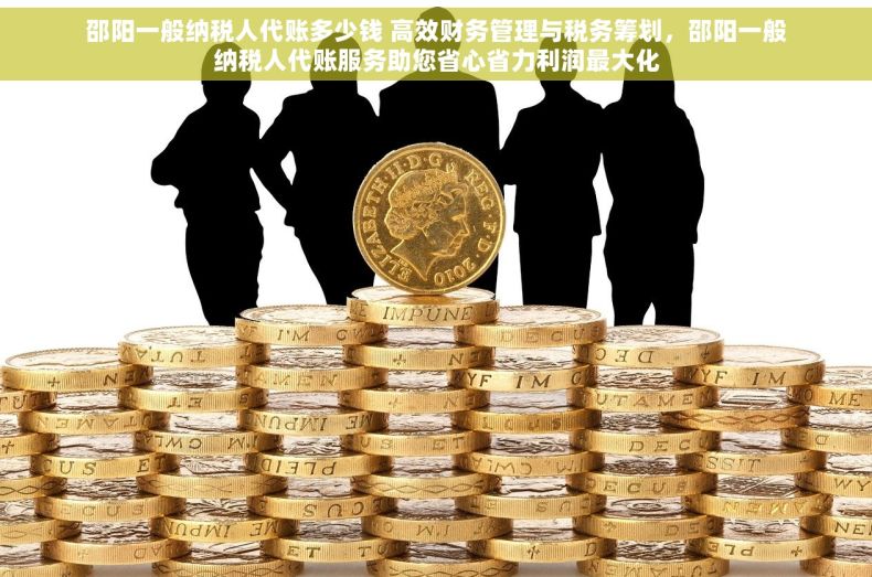 邵阳一般纳税人代账多少钱 高效财务管理与税务筹划，邵阳一般纳税人代账服务助您省心省力利润最大化