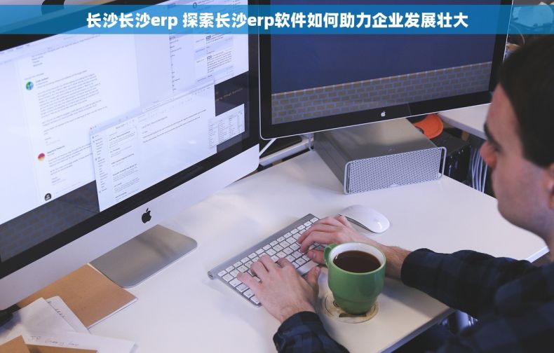 长沙长沙erp 探索长沙erp软件如何助力企业发展壮大
