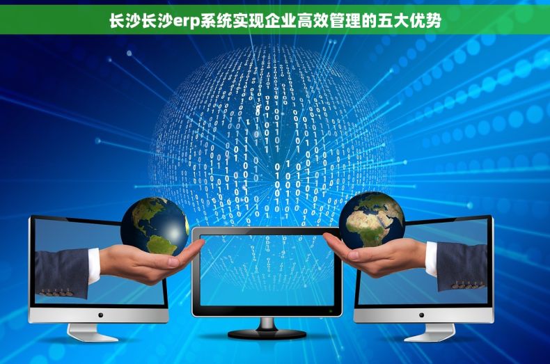 长沙长沙erp系统实现企业高效管理的五大优势