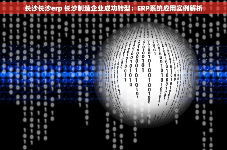 长沙长沙erp 长沙制造企业成功转型：ERP系统应用实例解析