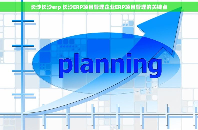 长沙长沙erp 长沙ERP项目管理企业ERP项目管理的关键点