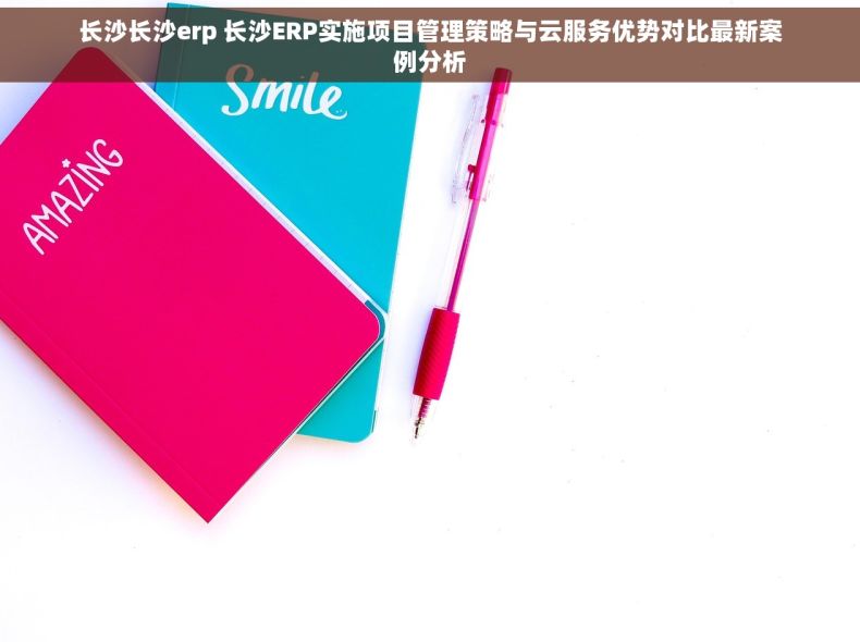 长沙长沙erp 长沙ERP实施项目管理策略与云服务优势对比最新案例分析