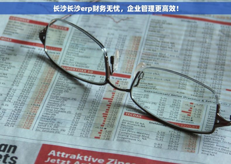 长沙长沙erp财务无忧，企业管理更高效！