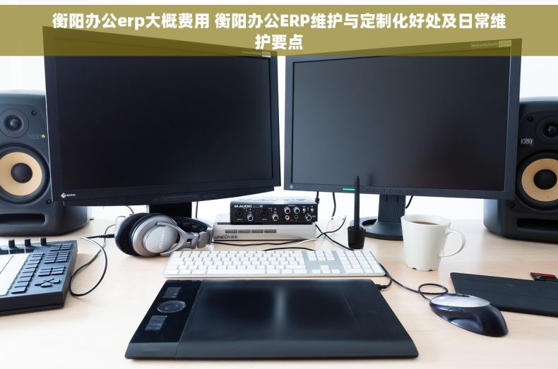 衡阳办公erp大概费用 衡阳办公ERP维护与定制化好处及日常维护要点