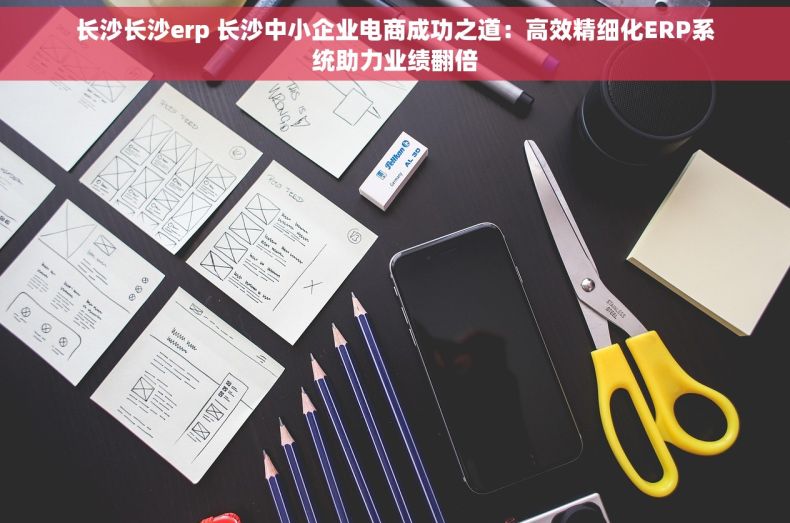 长沙长沙erp 长沙中小企业电商成功之道：高效精细化ERP系统助力业绩翻倍