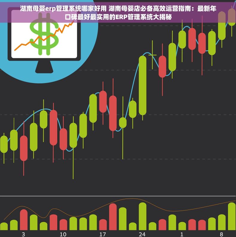 湖南母婴erp管理系统哪家好用 湖南母婴店必备高效运营指南：最新年口碑最好最实用的ERP管理系统大揭秘