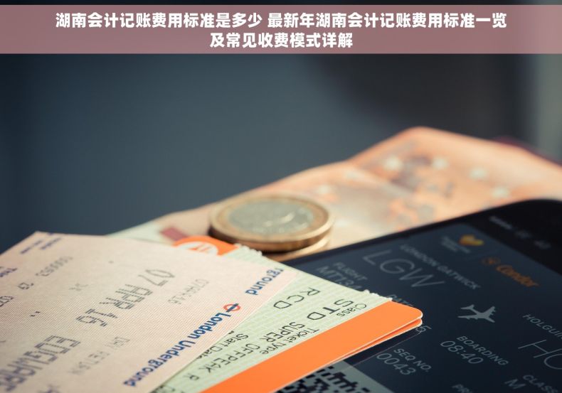 湖南会计记账费用标准是多少 最新年湖南会计记账费用标准一览及常见收费模式详解