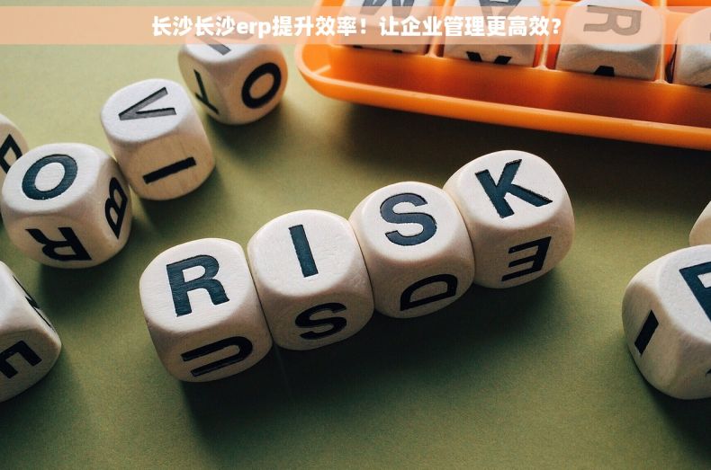 长沙长沙erp提升效率！让企业管理更高效？