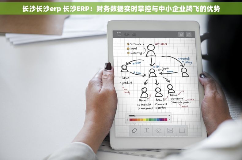长沙长沙erp 长沙ERP：财务数据实时掌控与中小企业腾飞的优势