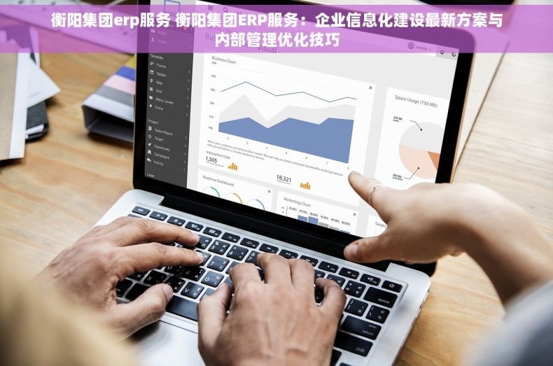 衡阳集团erp服务 衡阳集团ERP服务：企业信息化建设最新方案与内部管理优化技巧