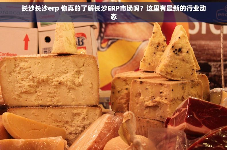 长沙长沙erp 你真的了解长沙ERP市场吗？这里有最新的行业动态