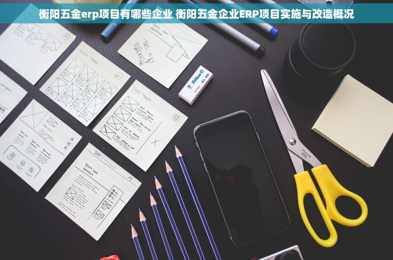 衡阳五金erp项目有哪些企业 衡阳五金企业ERP项目实施与改造概况