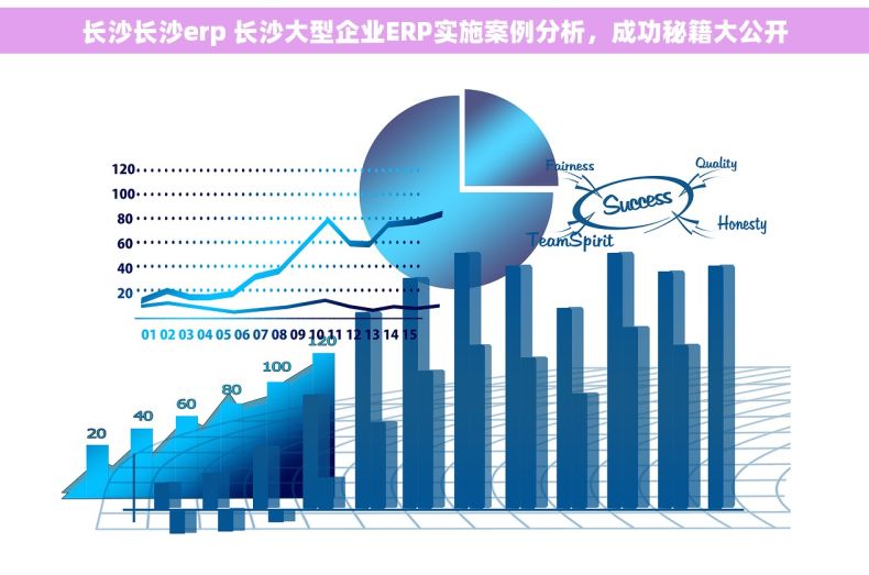 长沙长沙erp 长沙大型企业ERP实施案例分析，成功秘籍大公开