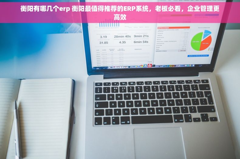 衡阳有哪几个erp 衡阳最值得推荐的ERP系统，老板必看，企业管理更高效