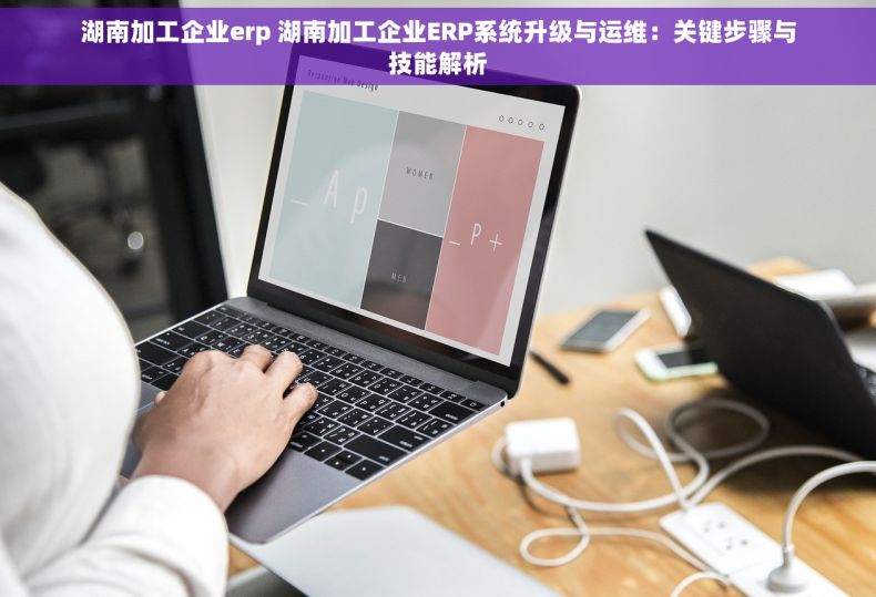 湖南加工企业erp 湖南加工企业ERP系统升级与运维：关键步骤与技能解析