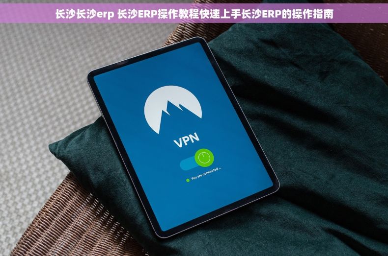 长沙长沙erp 长沙ERP操作教程快速上手长沙ERP的操作指南