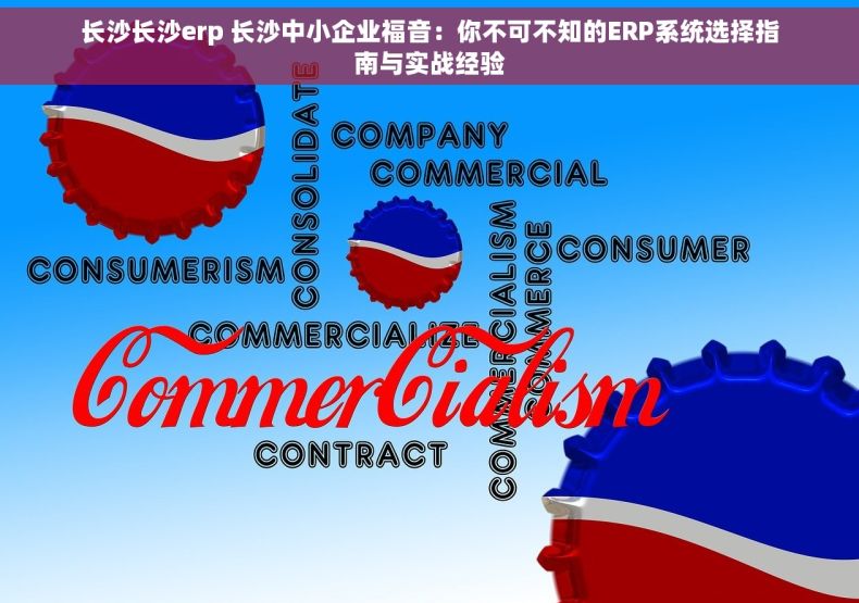 长沙长沙erp 长沙中小企业福音：你不可不知的ERP系统选择指南与实战经验