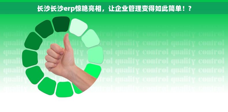 长沙长沙erp惊艳亮相，让企业管理变得如此简单！?