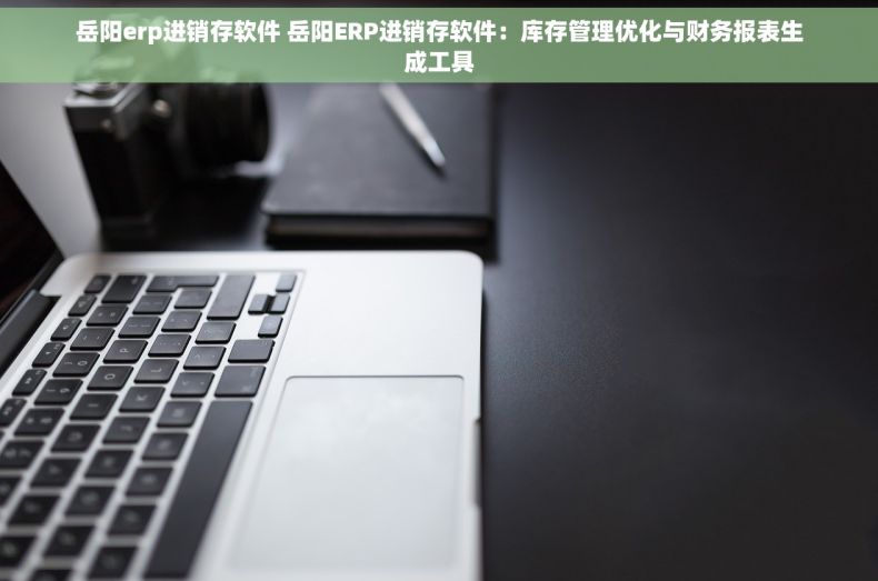 岳阳erp进销存软件 岳阳ERP进销存软件：库存管理优化与财务报表生成工具