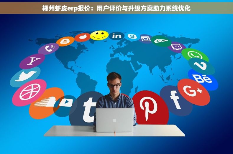 郴州虾皮erp报价：用户评价与升级方案助力系统优化