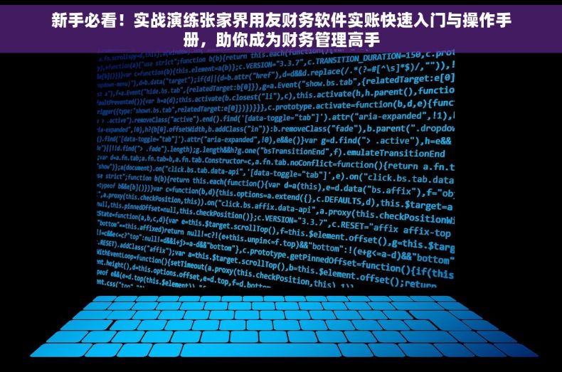 新手必看！实战演练张家界用友财务软件实账快速入门与操作手册，助你成为财务管理高手