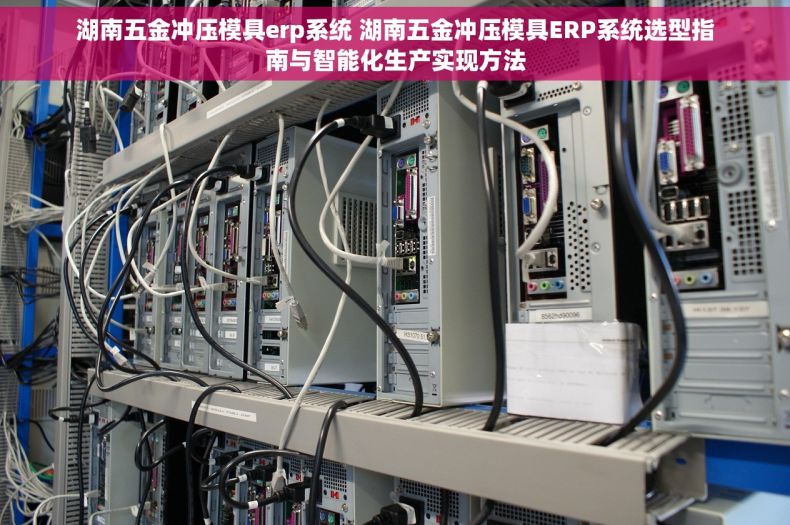 湖南五金冲压模具erp系统 湖南五金冲压模具ERP系统选型指南与智能化生产实现方法
