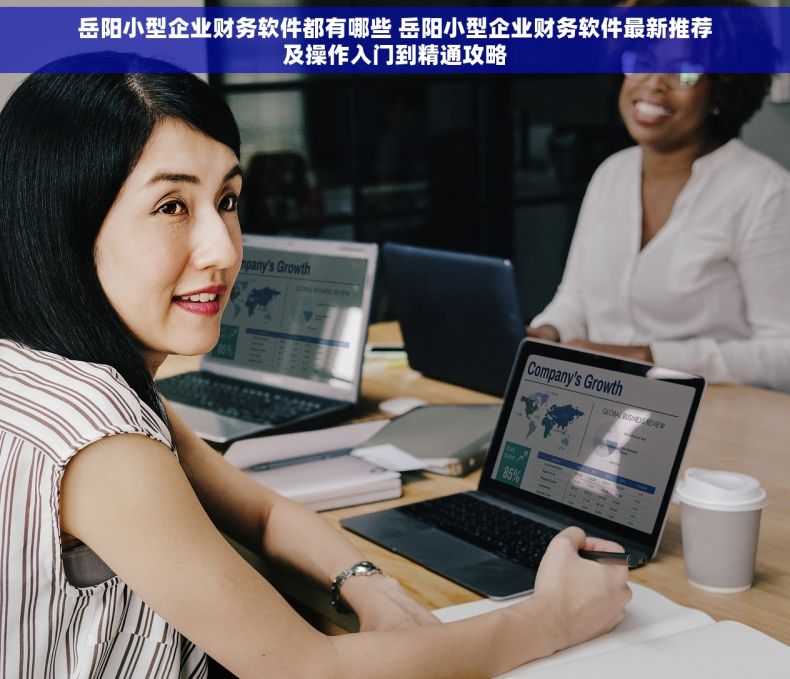 岳阳小型企业财务软件都有哪些 岳阳小型企业财务软件最新推荐及操作入门到精通攻略