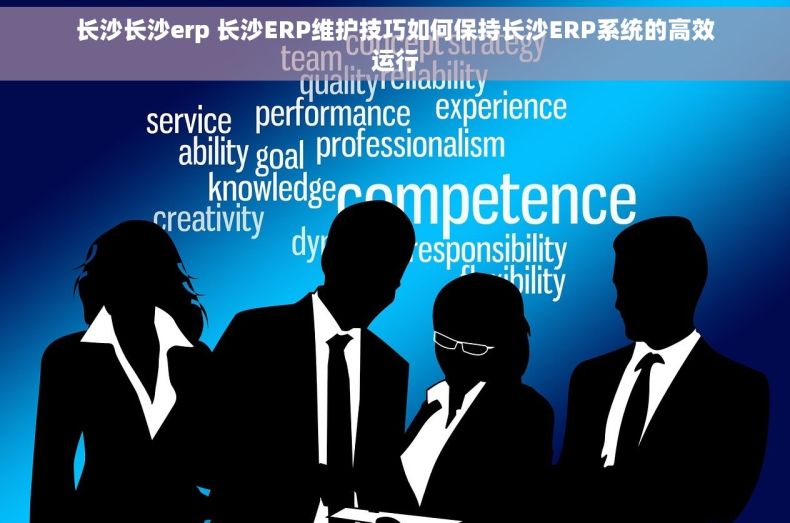 长沙长沙erp 长沙ERP维护技巧如何保持长沙ERP系统的高效运行