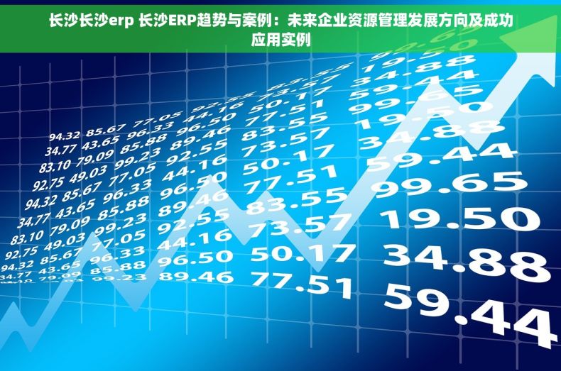 长沙长沙erp 长沙ERP趋势与案例：未来企业资源管理发展方向及成功应用实例