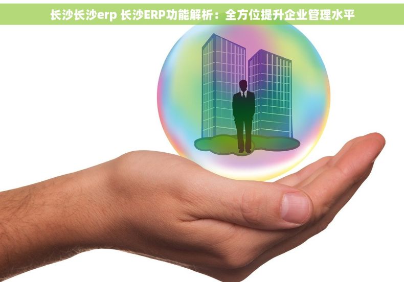 长沙长沙erp 长沙ERP功能解析：全方位提升企业管理水平