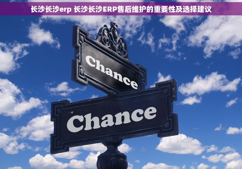 长沙长沙erp 长沙长沙ERP售后维护的重要性及选择建议